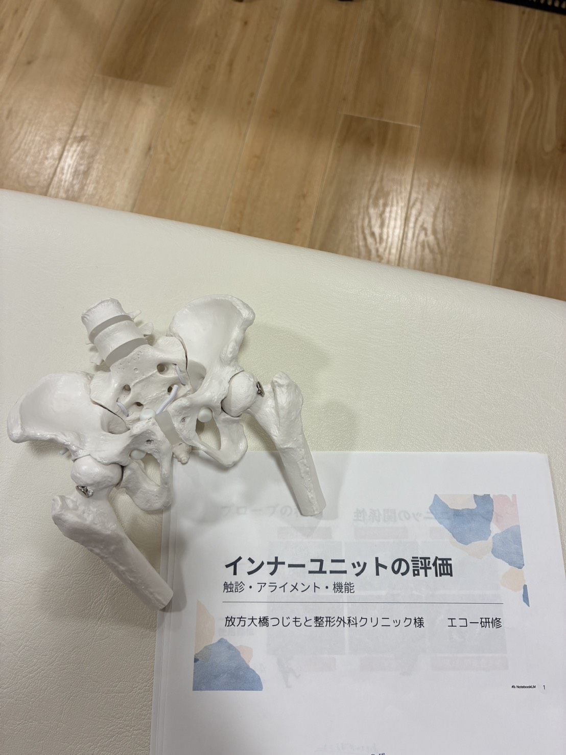 枚方大橋つじもと整形外科クリニックにてエコー研修を開催しました